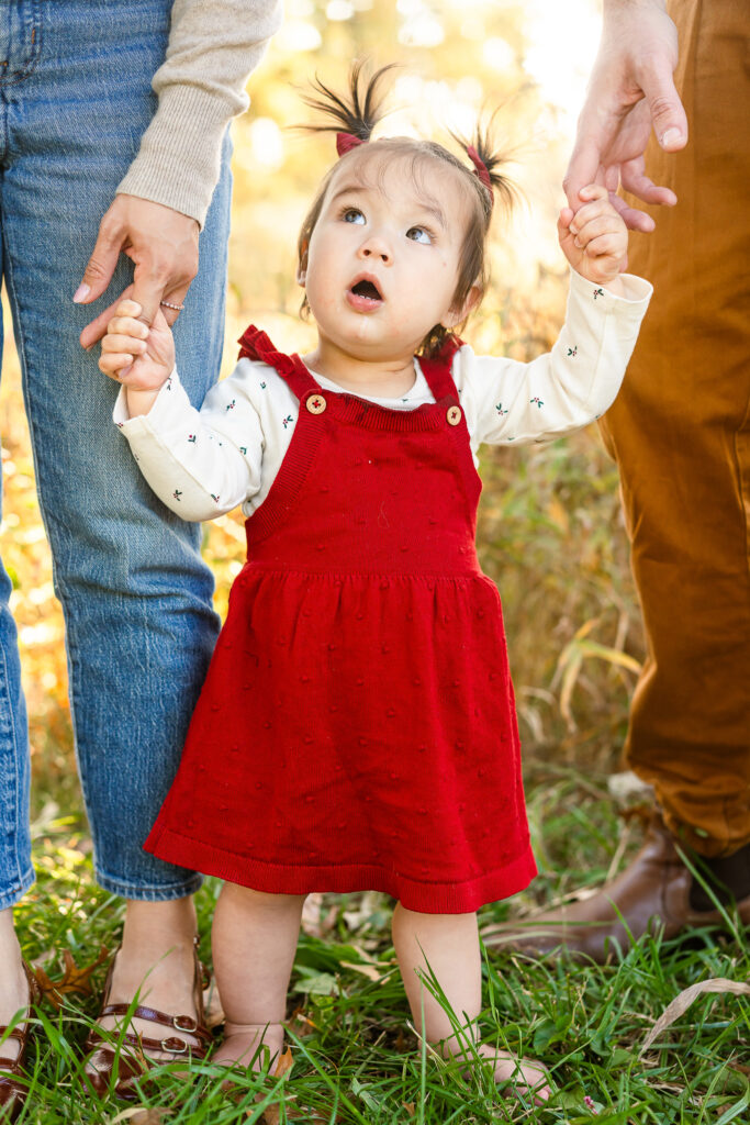 A toddler with pigtails and a red dress holds her parents hands and looks up. 